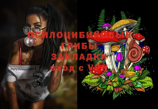 гидропоника Балабаново