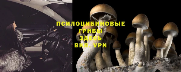 дживик Балахна
